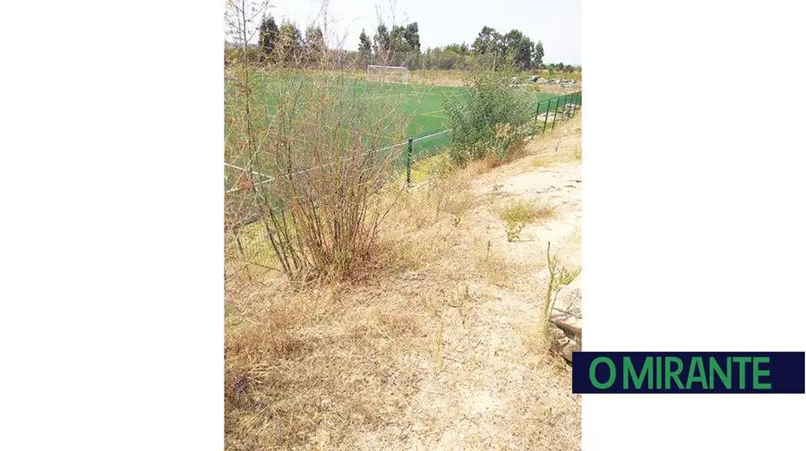 O matagal à volta de um campo de futebol relvado em Constância O matagal à volta de um campo de futebol relvado em Constância