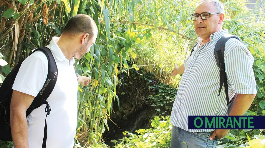 Com diminuição do oxigénio na água do Tejo não é seguro comer peixe do rio