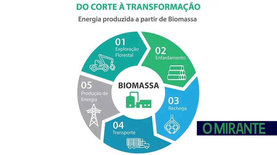 Biolose é uma empresa especializada na recolha de resíduos florestais