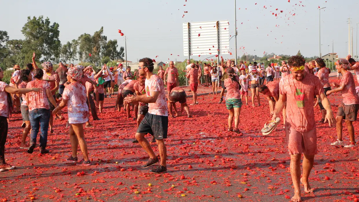 Todos à Tomatada em Almeirim