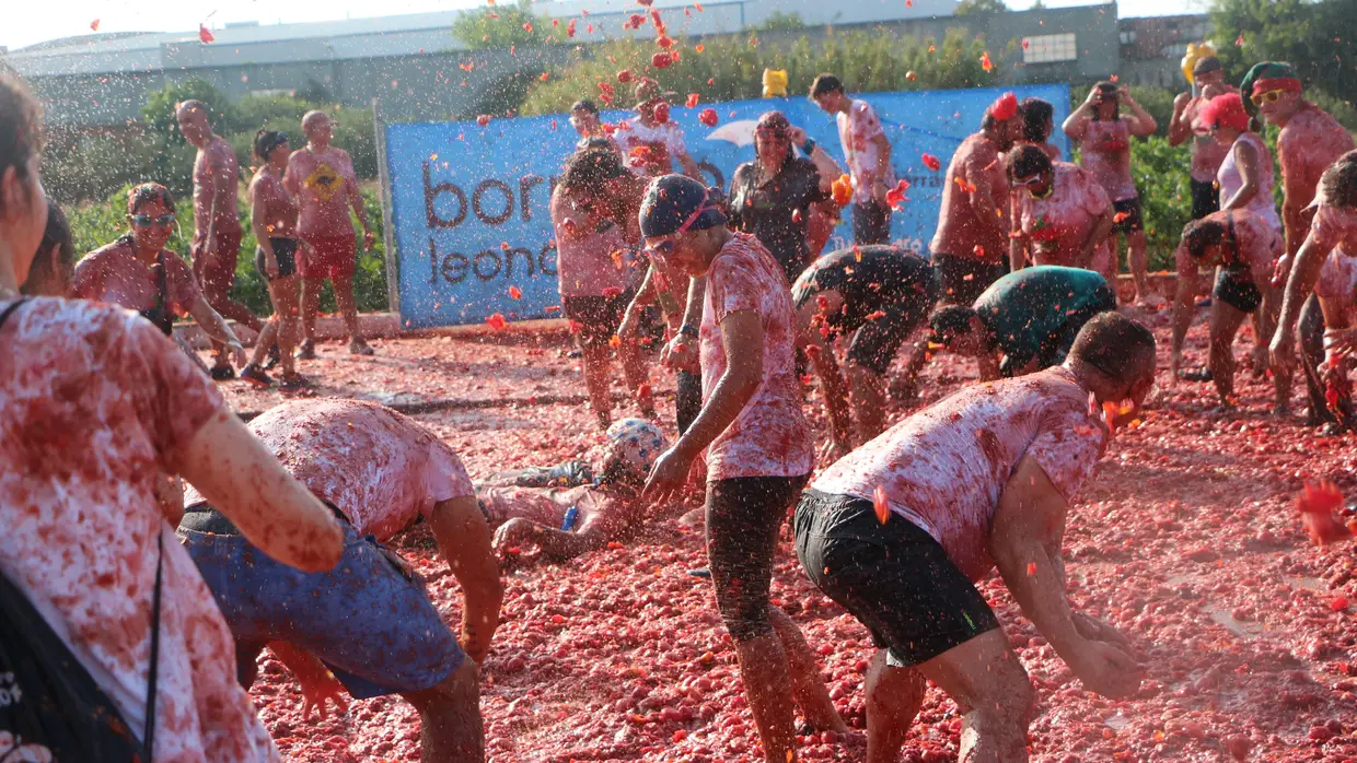 Todos à Tomatada em Almeirim