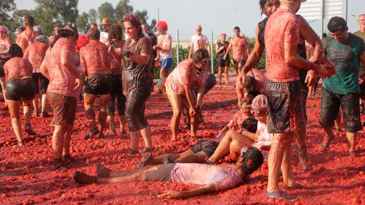 Todos à Tomatada em Almeirim