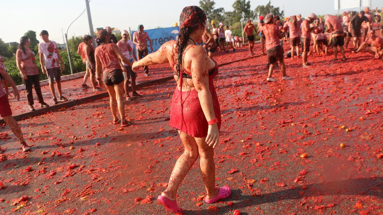 Todos à Tomatada em Almeirim