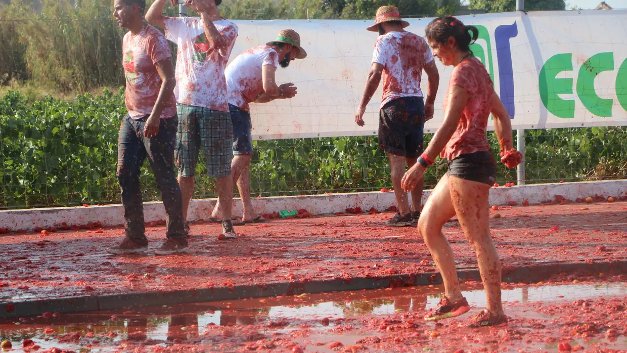 Todos à Tomatada em Almeirim