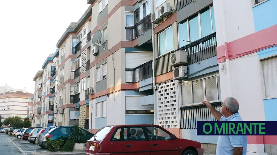 Pombos em Benavente são problema sério e um caso de saúde pública Pombos em Benavente são problema sério e um caso de saúde pública