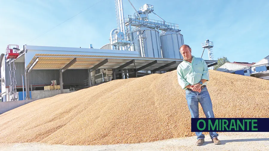 CADOVA investe um milhão de euros para fornecer milho à indústria cervejeira