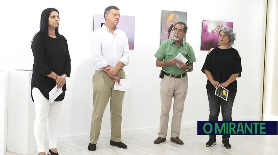 A exposição de macrofotografia A exposição de macrofotografia