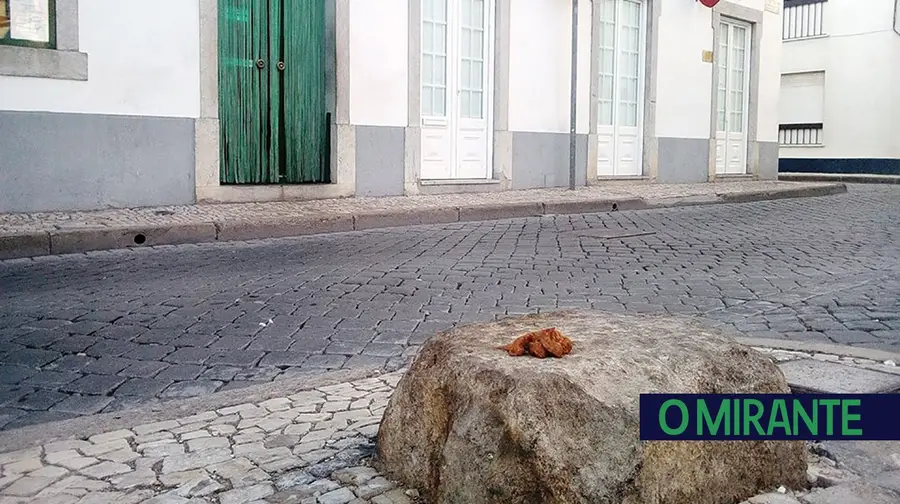 Uma bosta de fotografia. Uma bosta de fotografia.