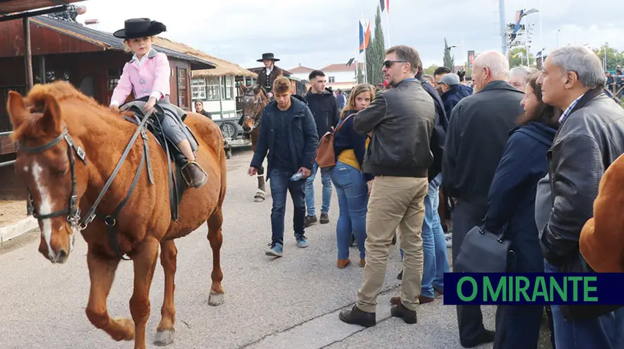 Feira da Golegã com regras para assegurar bem-estar animal