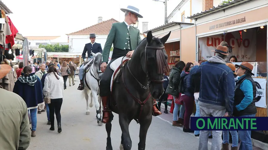 Cavalo é rei até 11 de Novembro na Golegã