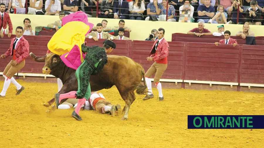 Municípios ribatejanos defendem descida do IVA nas corridas de toiros