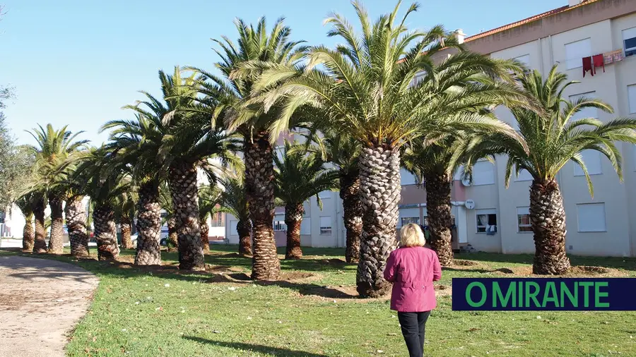 O jardim que se transformou em cemitério