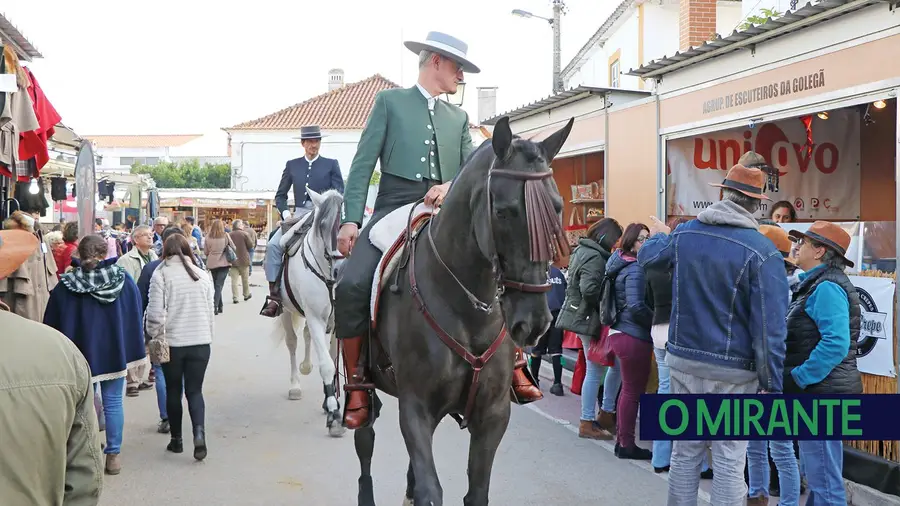 Menos chamadas para bombeiros e veterinários na Feira da Golegã Menos chamadas para bombeiros e veterinários na Feira da Golegã