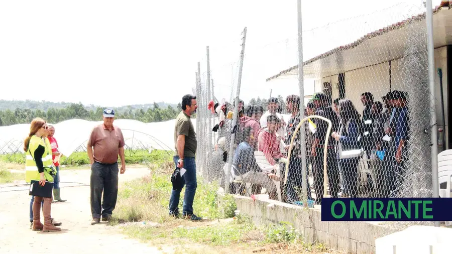Relação confirma penas de 13 e 14 anos de prisão por exploração de imigrantes Relação confirma penas de 13 e 14 anos de prisão por exploração de imigrantes