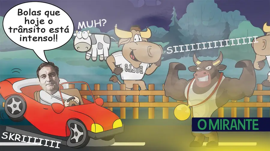 Cuidado com estes toiros atletas! Cuidado com estes toiros atletas!