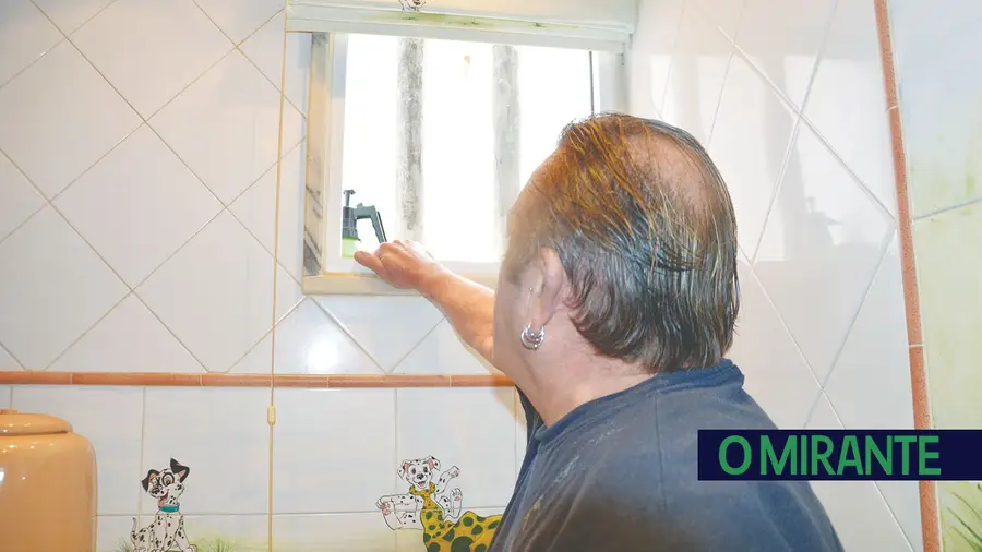 Obra no centro de Alverca tapou janela a vizinhos Obra no centro de Alverca tapou janela a vizinhos