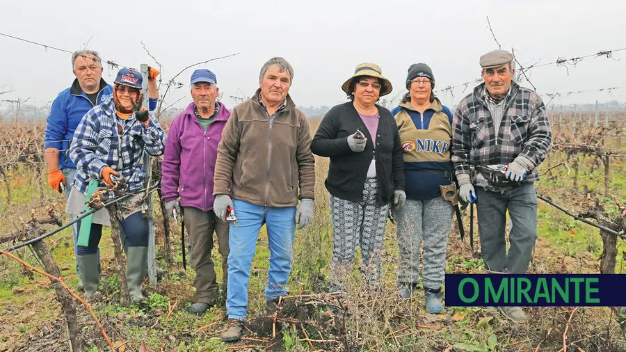 Almeirim: terra de vinho e de gente de trabalho Almeirim: terra de vinho e de gente de trabalho