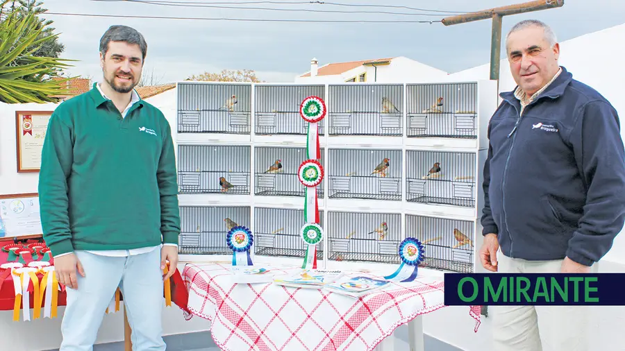 Criadores da Golegã conquistam seis medalhas no Mundial de Ornitologia