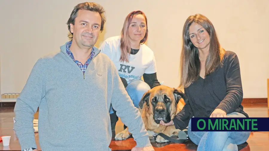 Cão terapeuta foi a Samora Correia mostrar como pode ajudar crianças e idosos