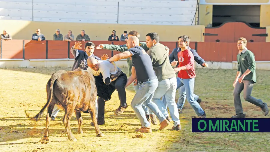 O Grupo de Forcados Amadores da Chamusca