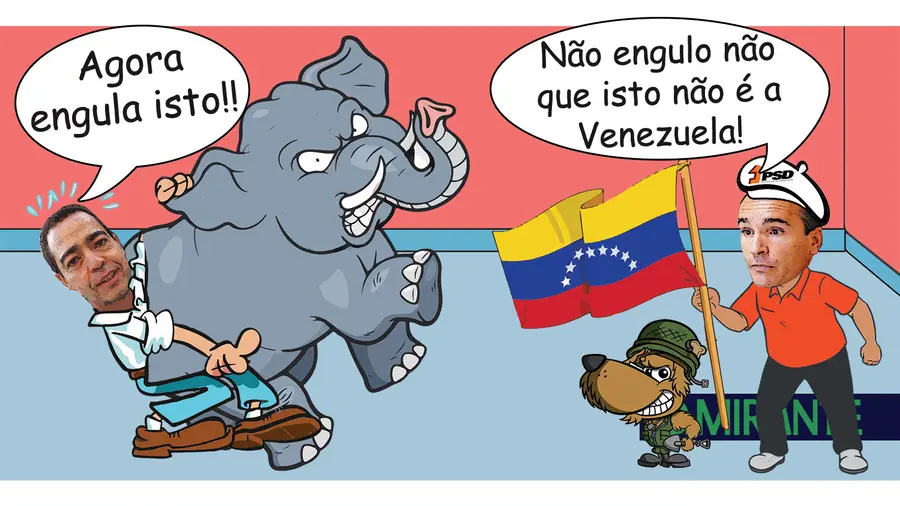 Bracejos, elefantes e Venezuela