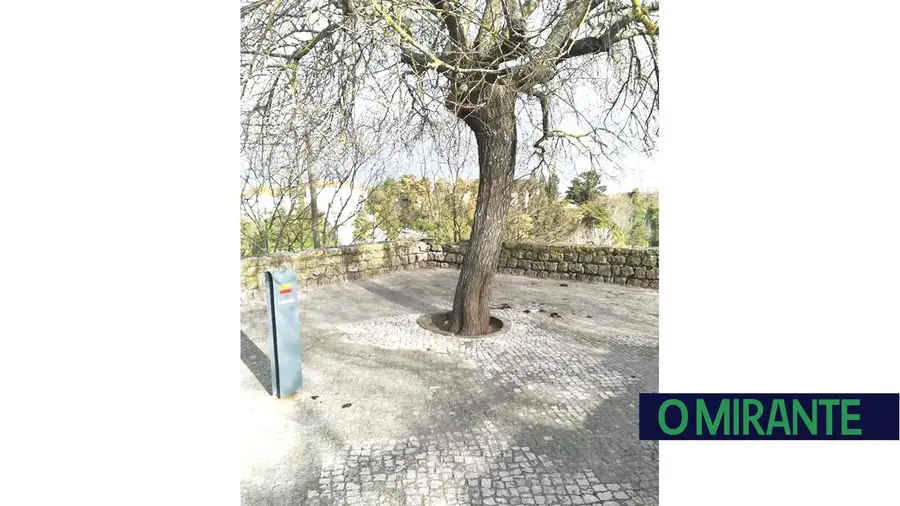 Largo Mem Ramires em Santarém e ruas adjacentes transformado em casas-de-banho Largo Mem Ramires em Santarém e ruas adjacentes transformado em casas-de-banho