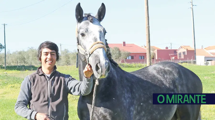 Cavaleiro Parreirita Cigano apresenta quadra no Cartaxo Cavaleiro Parreirita Cigano apresenta quadra no Cartaxo