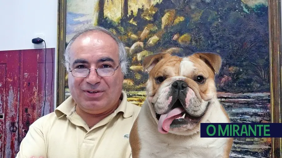 Bark bark canídeo lindo. Bark bark canídeo lindo.