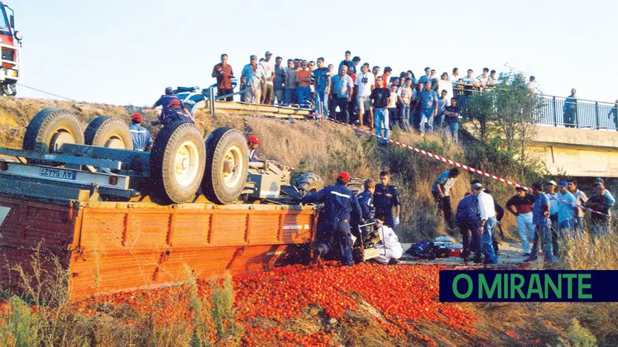 O MIRANTE  Condutores de tractores agrícolas obrigados a 