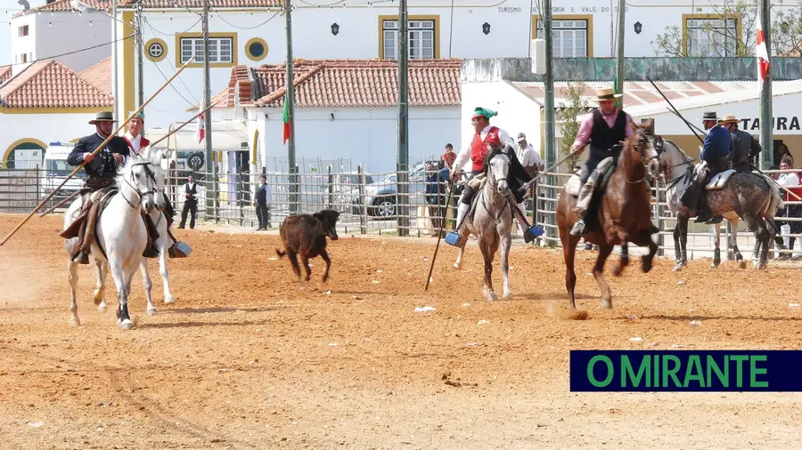 Adolescente ferido com gravidade nas festas de Santarém