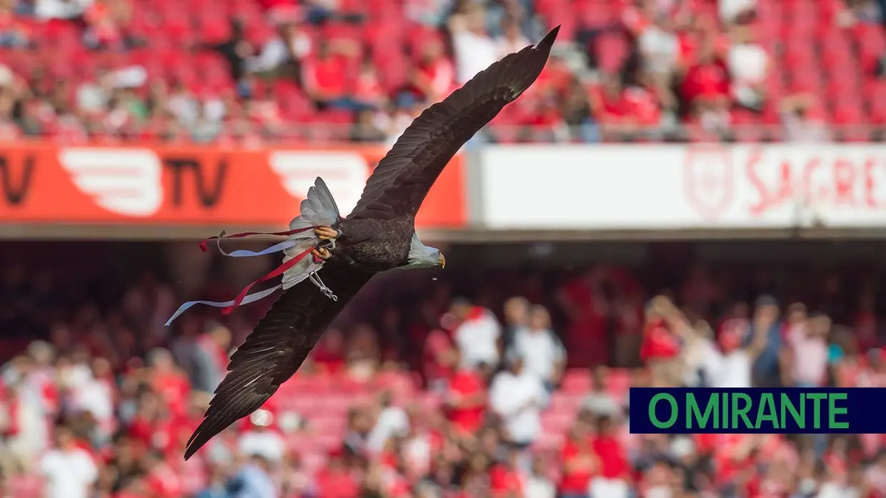 Benfica vs Portimonense no Estádio da Luz