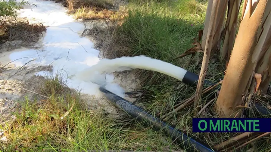 GNR detecta descarga de águas residuais em eucaliptal de Rio Maior