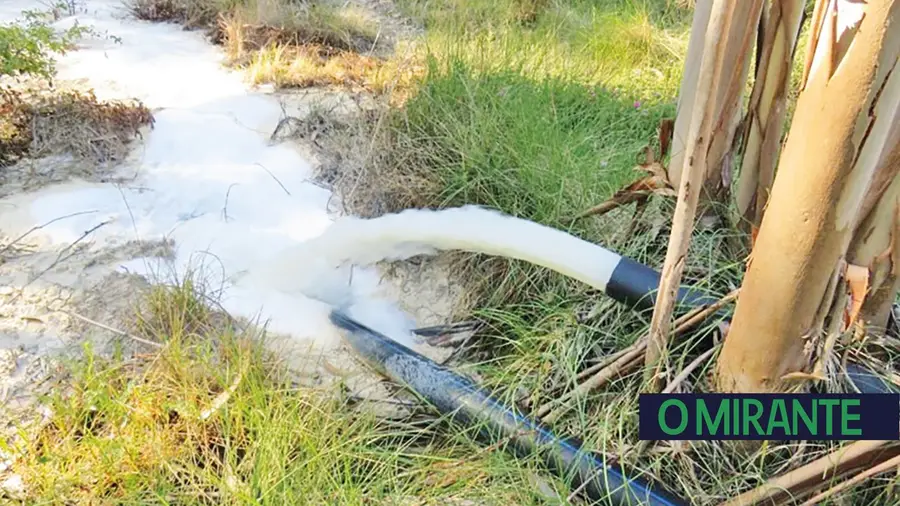 GNR detecta descarga de águas residuais em eucaliptal de Rio Maior GNR detecta descarga de águas residuais em eucaliptal de Rio Maior