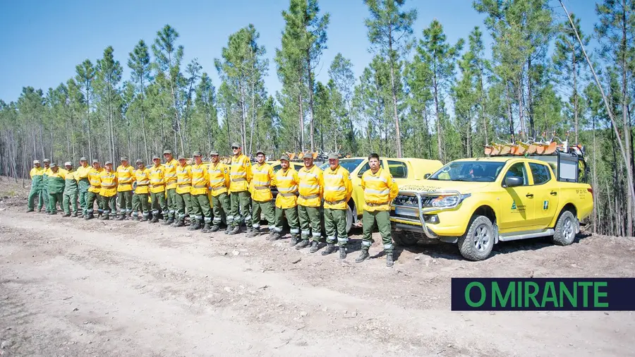 Brigadas de sapadores do Médio Tejo vão ter maquinaria pesada