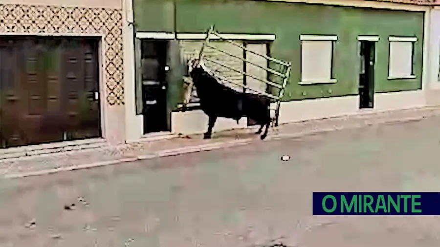 Um mau exemplo na Ascensão da Chamusca 2019. Um mau exemplo na Ascensão da Chamusca 2019.