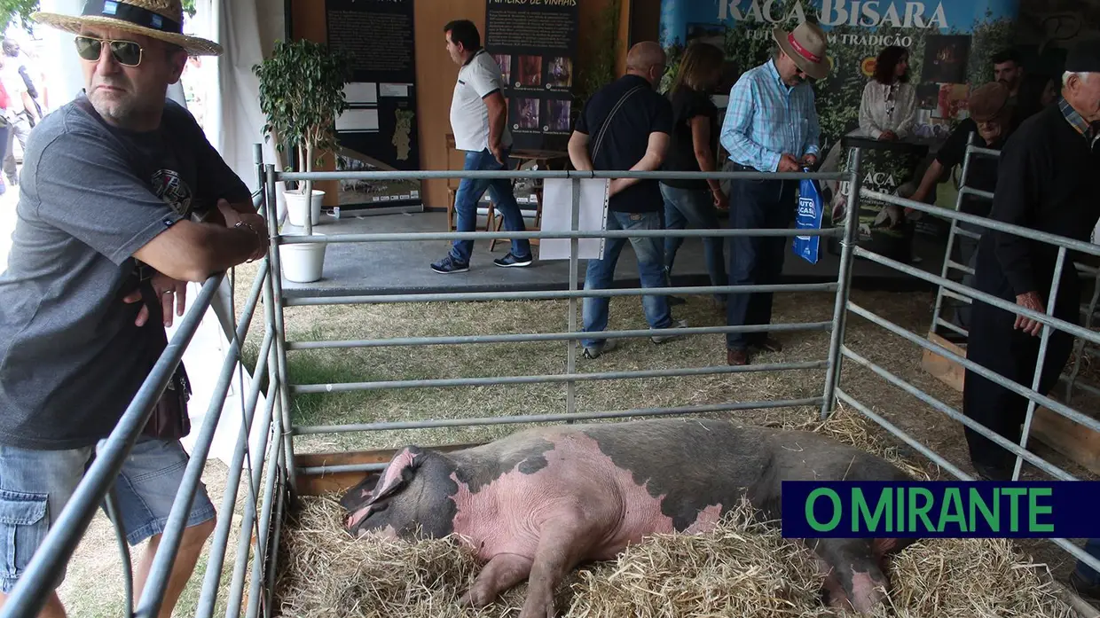 Inauguração da Feira da Agricultura em Santarém