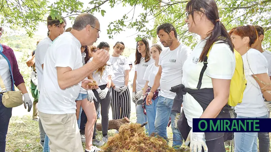 Limpeza das margens do Alviela no Dia do Ambiente