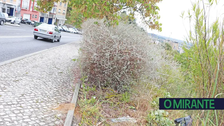 Estrada de São Domingos torna-se perigosa quando chove e devia ter rails laterais Estrada de São Domingos torna-se perigosa quando chove e devia ter rails laterais