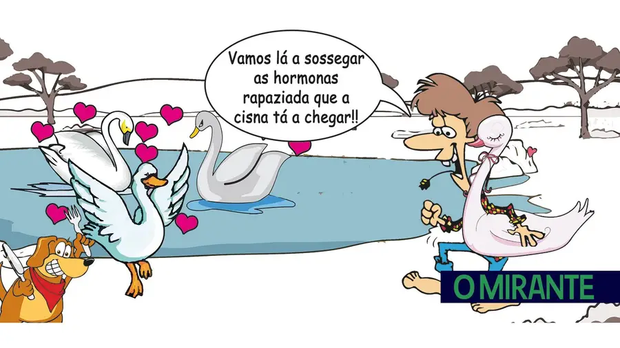 O canto dos cisnes em Abrantes