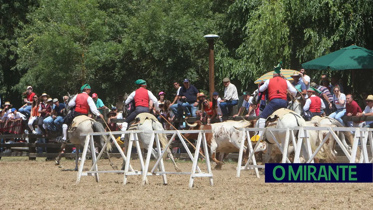 Benavente volta a afirmar tradição da picaria na Festa da Amizade