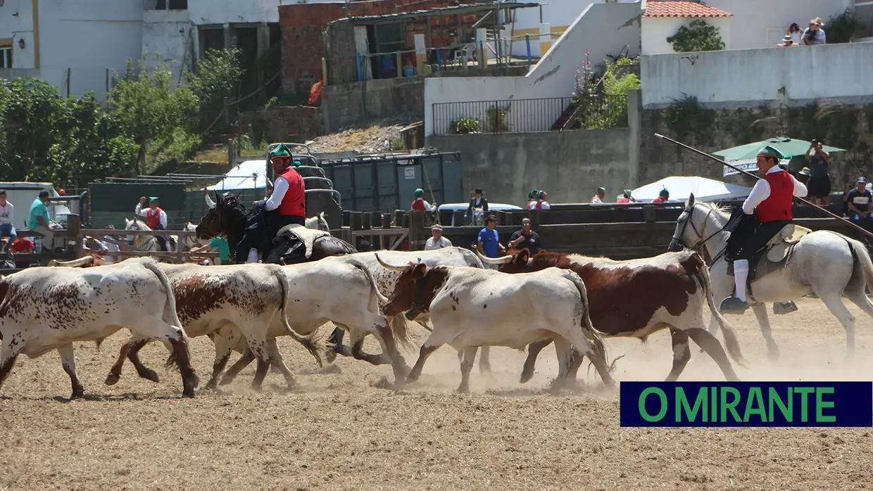 Benavente volta a afirmar tradição da picaria na Festa da Amizade