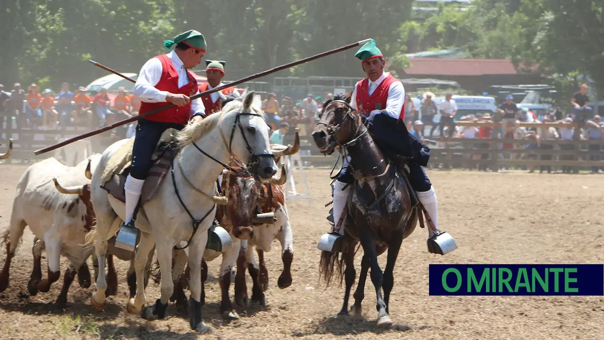 Benavente volta a afirmar tradição da picaria na Festa da Amizade
