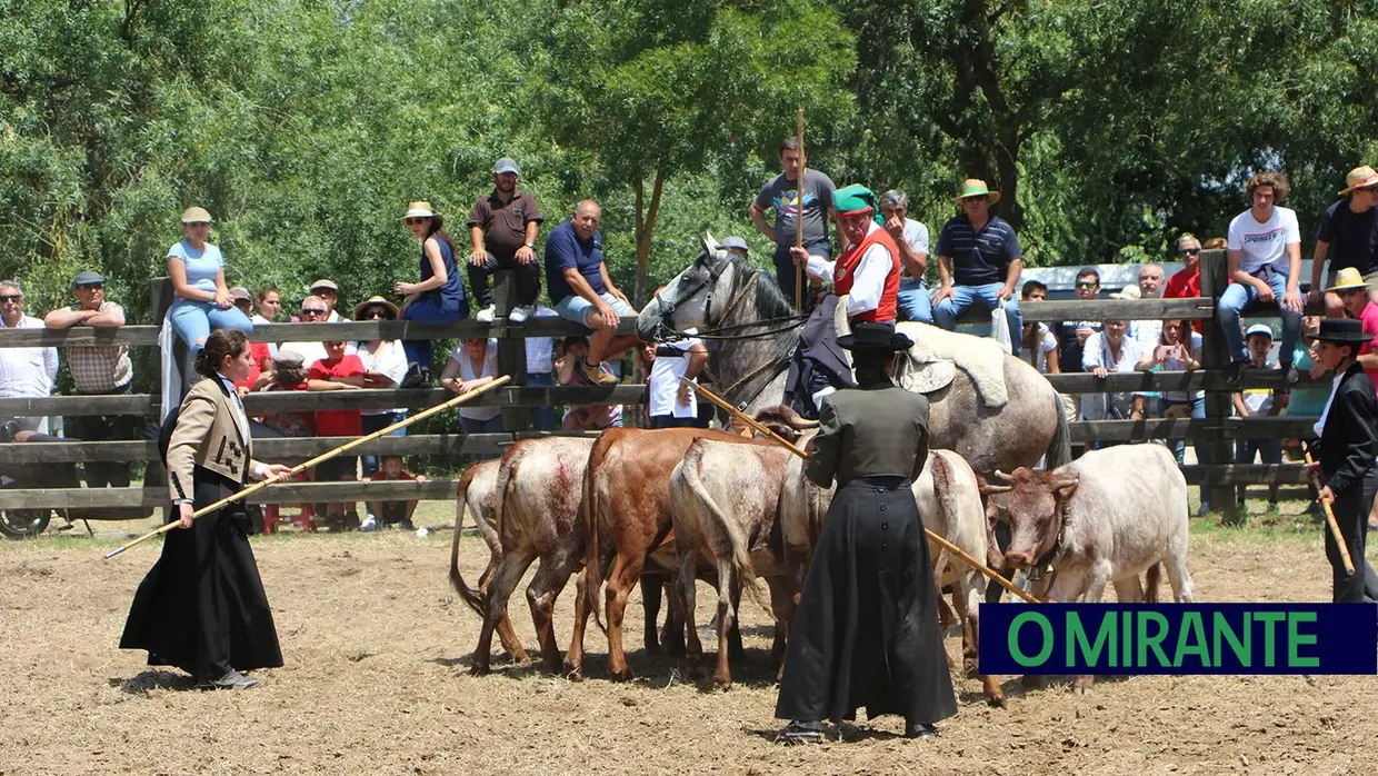 Benavente volta a afirmar tradição da picaria na Festa da Amizade