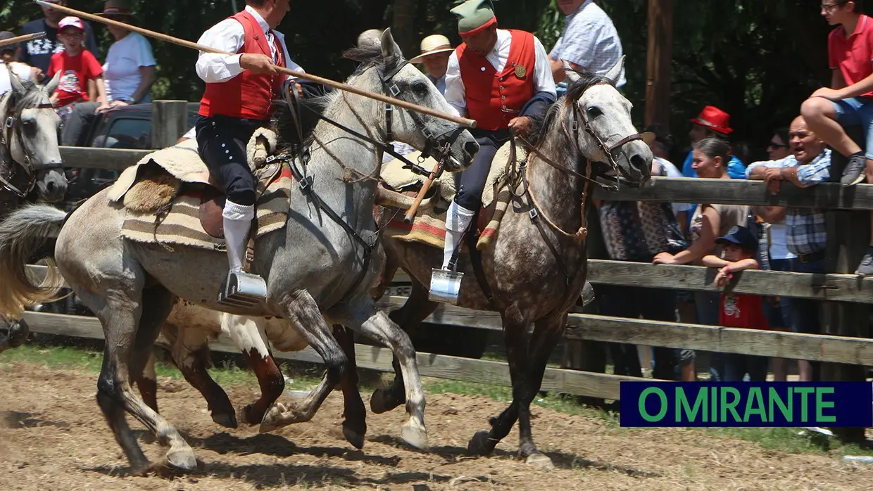 Benavente volta a afirmar tradição da picaria na Festa da Amizade