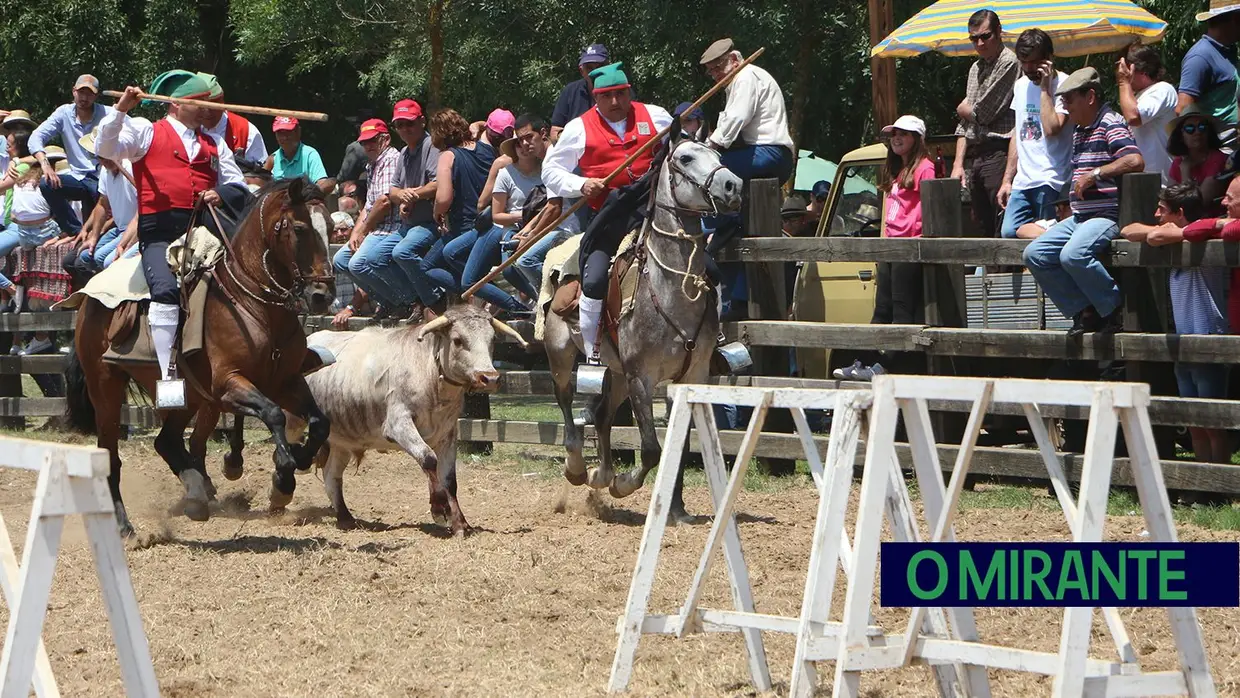 Benavente volta a afirmar tradição da picaria na Festa da Amizade