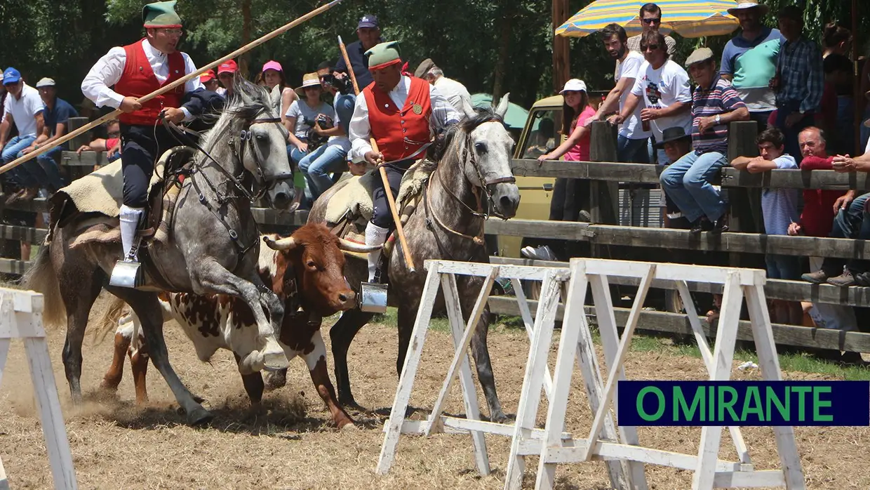 Benavente volta a afirmar tradição da picaria na Festa da Amizade