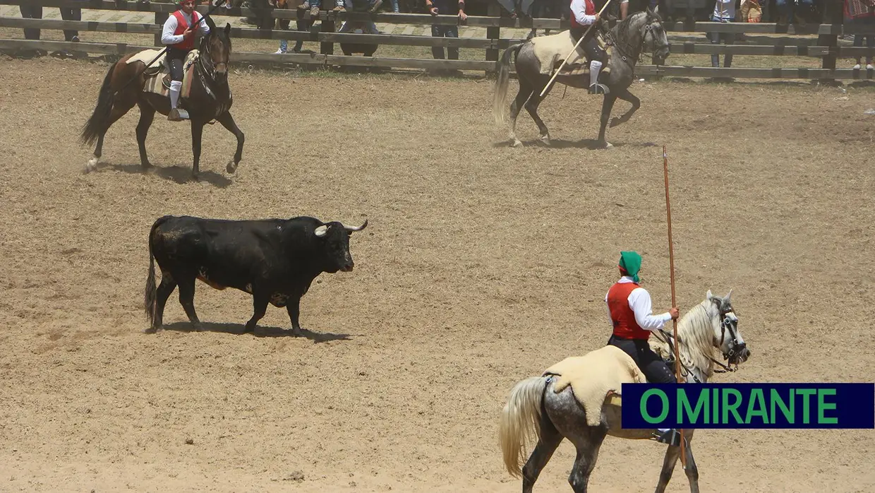 Benavente volta a afirmar tradição da picaria na Festa da Amizade