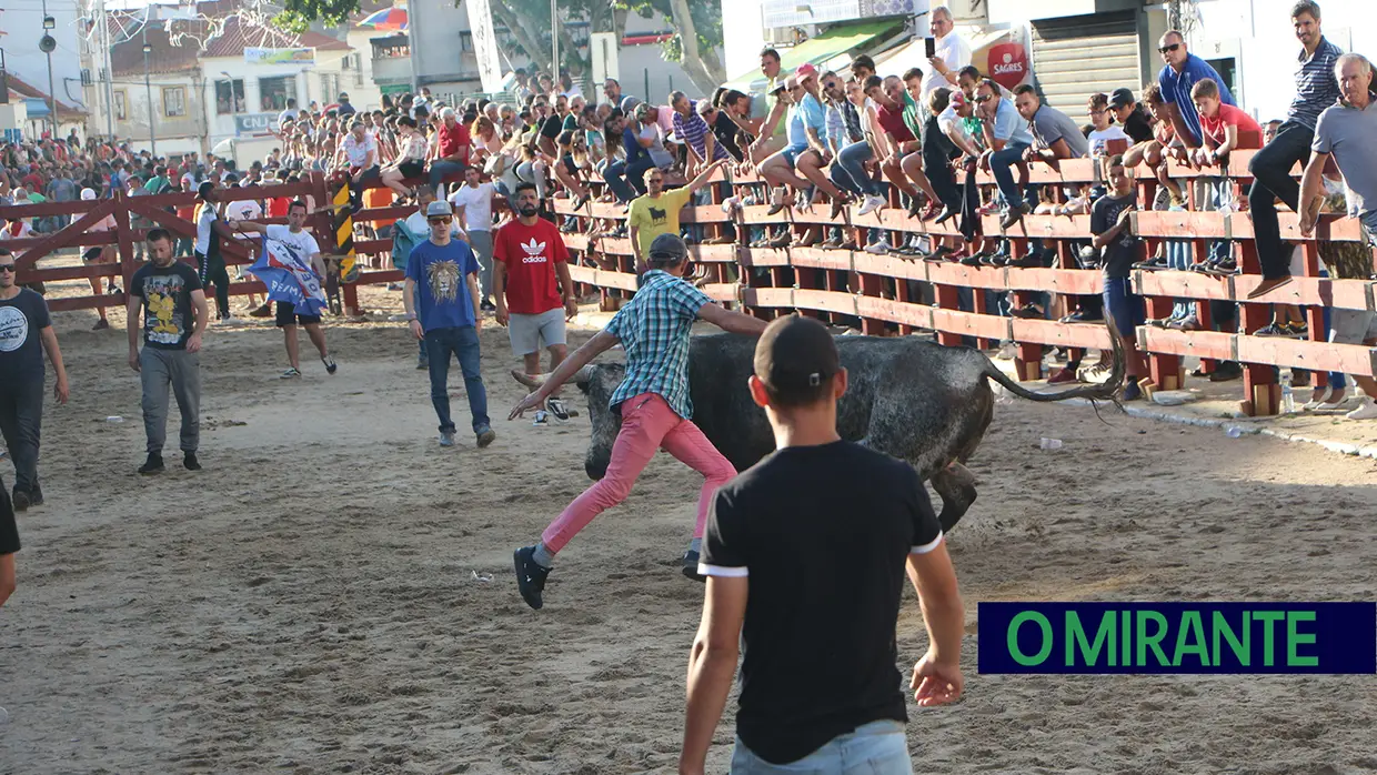 Festa da Amizade com touros e sardinhas na rua