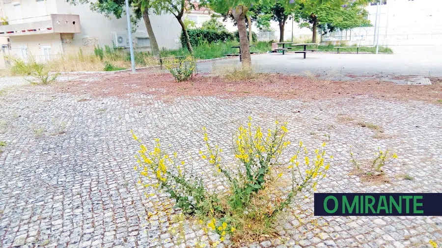 Rua do Antigo Campo dos Leões – Santarém Rua do Antigo Campo dos Leões – Santarém