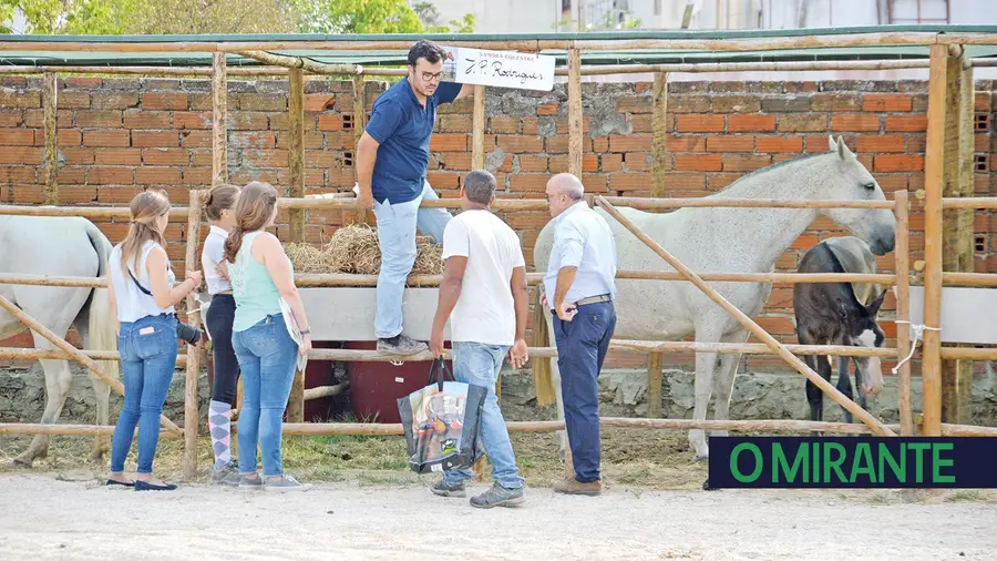Samora Equestre teve uma boa estreia e é para continuar Samora Equestre teve uma boa estreia e é para continuar